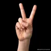 asadeddin7