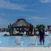 rogertorresarteaga