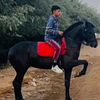 arasbey363