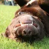 herooftime3