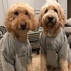 doodleloves314