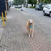 paulasp222