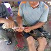 worayatthongphol