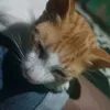 ekomaryanto77
