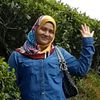 linalin2454