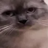 zmalqpxnskwo000