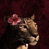 shahad_sabry25
