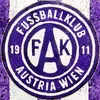 austriaw1911