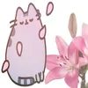cattataus