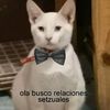 eddy_15109