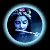 gaur_nitai