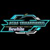 agasbewhite18_