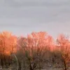 ivantarankov