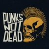 punks_not_dead11