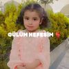 elaa6363_