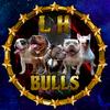 legion_huanca_bulls