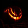 nocturnalpumpkn