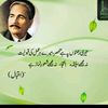 hamza7788661