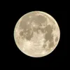 mommymoon_2415