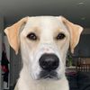 lumismom8