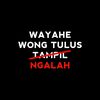 mz_hans01
