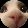 damixn_mlp