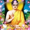 hienminh088