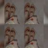 abeekhoso