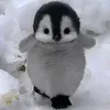 umeequincy