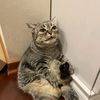 why_you_so_obessed_