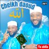 cheikhdaoud0