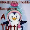 vincenzaoddo6