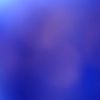dmitrye7777