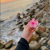 aya_ab2005