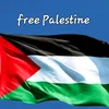 palestineavie1