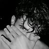 hardi__5