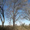 ivan_rosario_123