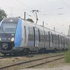 clitoridiennes95