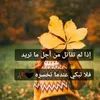 hassony505