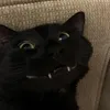 morzzzzrom