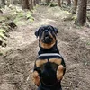 brandyrottie