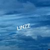 linzzmdr