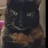 dyf5vub3d5jc