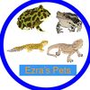 ezras_pets