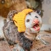 kaypossum