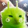 lechuga205