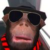 monkey_w2