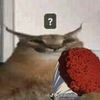 xxveggeta777elmejorxx