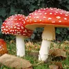mushroom_man_tobias