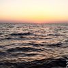 irokayah8